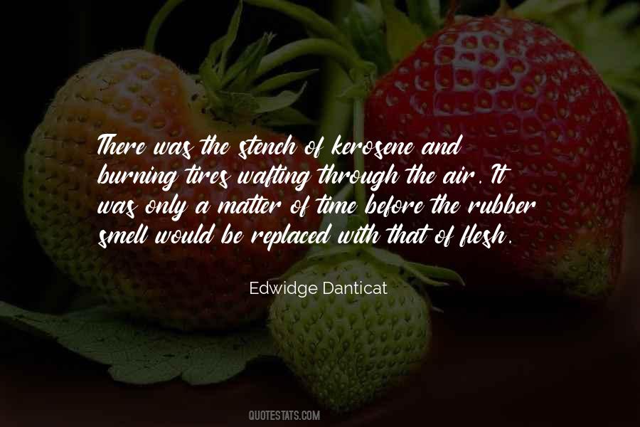 Edwidge Danticat Quotes #1460153