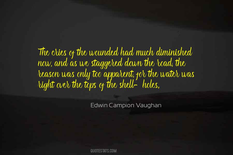 Edwin Campion Vaughan Quotes #396616