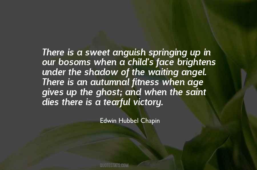 Edwin Hubbel Chapin Quotes #1226461