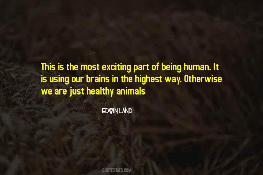 Edwin Land Quotes #1243846