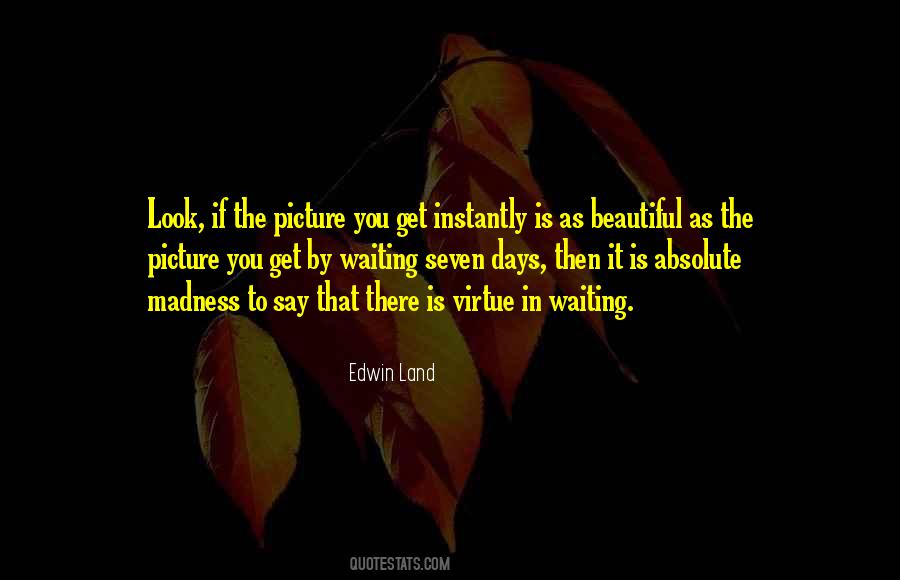 Edwin Land Quotes #472832