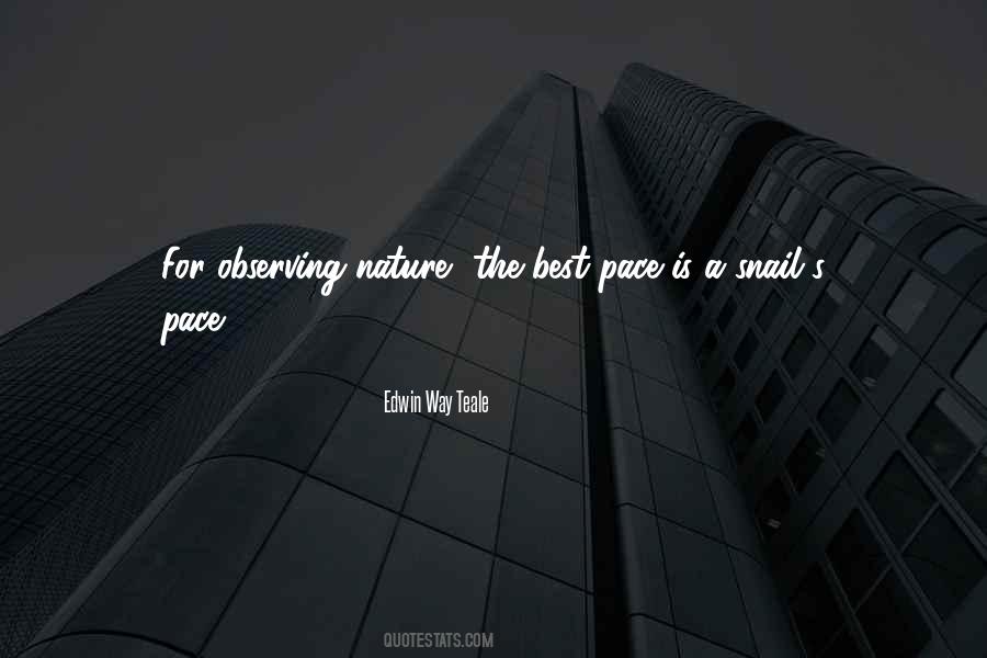 Edwin Way Teale Quotes #878933