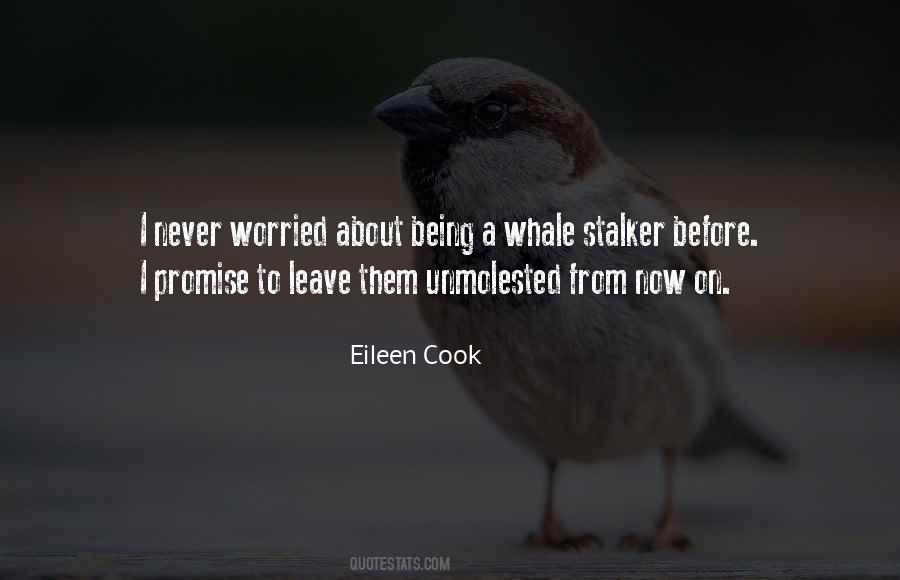 Eileen Cook Quotes #295227