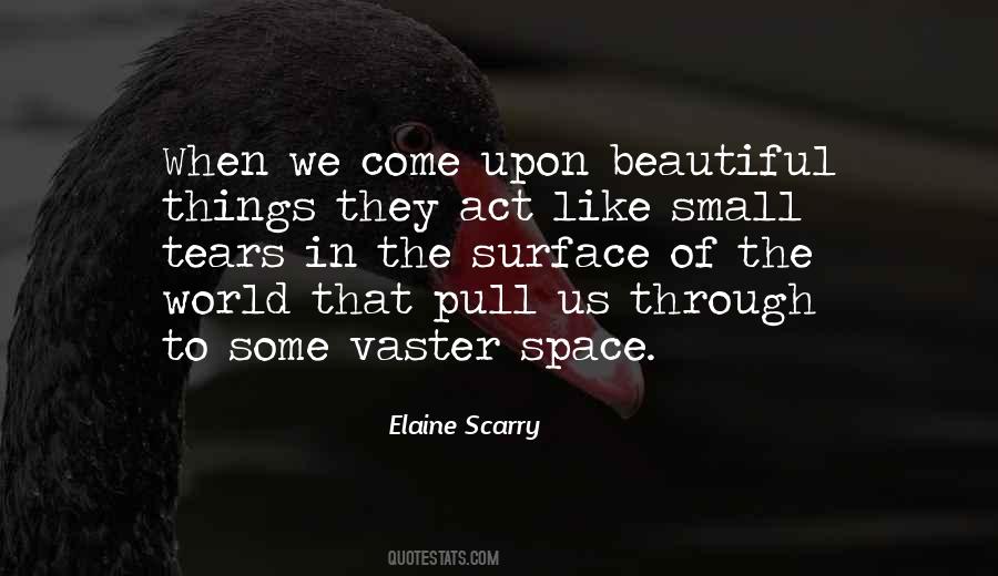 Elaine Scarry Quotes #257390