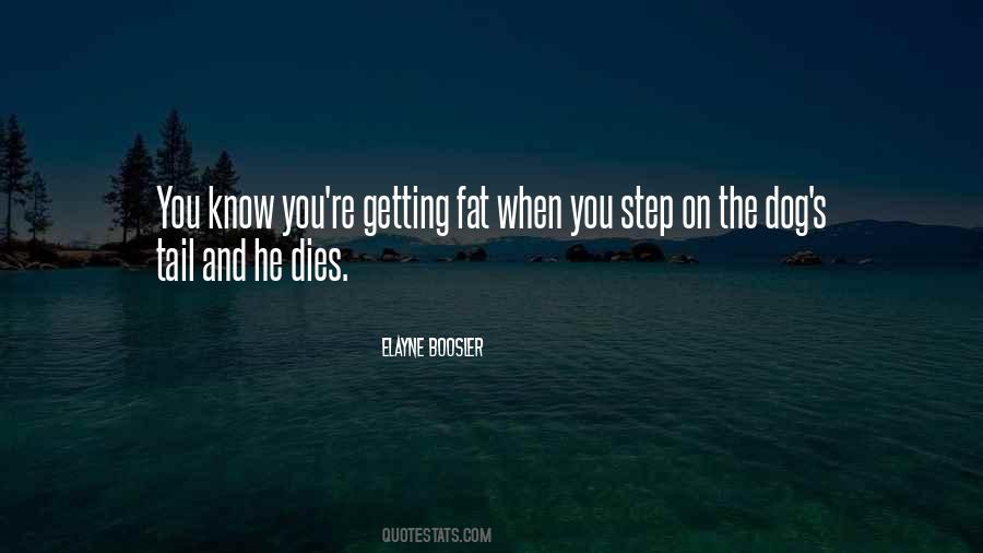 Elayne Boosler Quotes #1547135