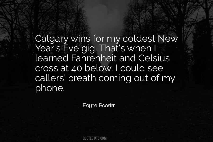 Elayne Boosler Quotes #332529