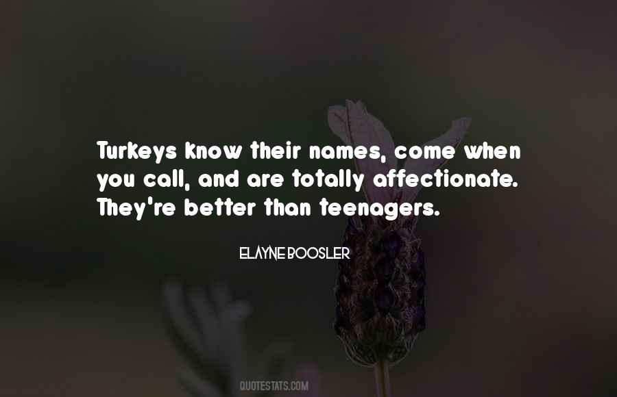 Elayne Boosler Quotes #482627
