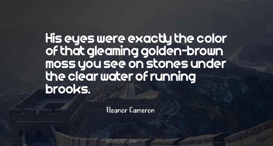 Eleanor Cameron Quotes #1841210 Eleanor Cameron Quotes #1841210