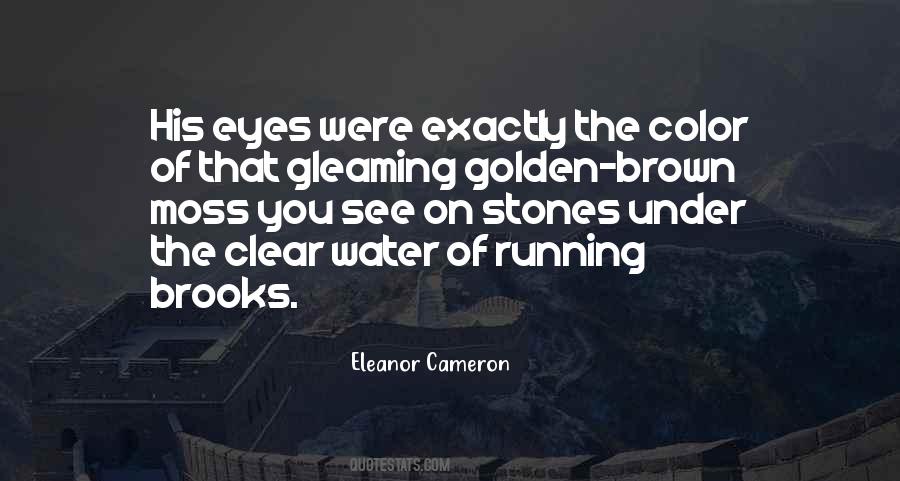 Eleanor Cameron Quotes #1841210