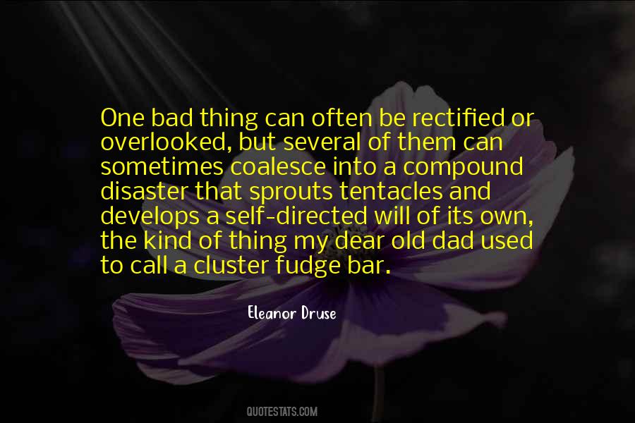 Eleanor Druse Quotes #1548423