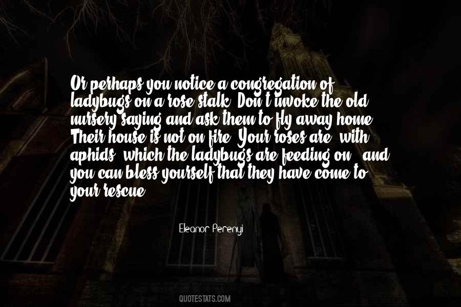 Eleanor Perenyi Quotes #353049