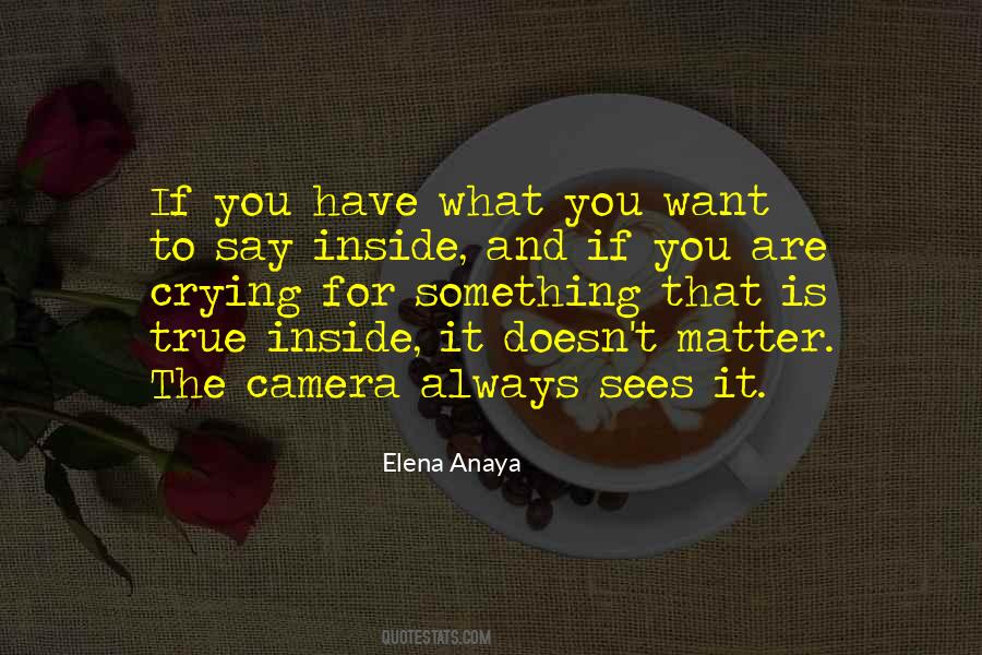 Elena Anaya Quotes #1660286