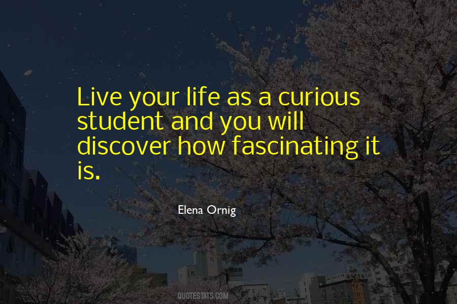 Elena Ornig Quotes #987359
