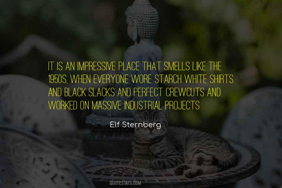 Elf Sternberg Quotes #265291