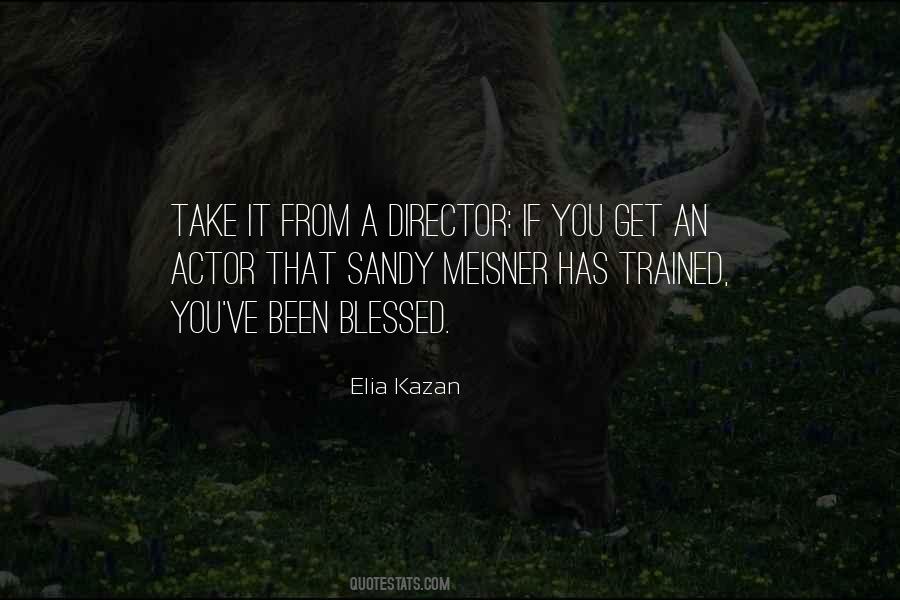 Elia Kazan Quotes #646082