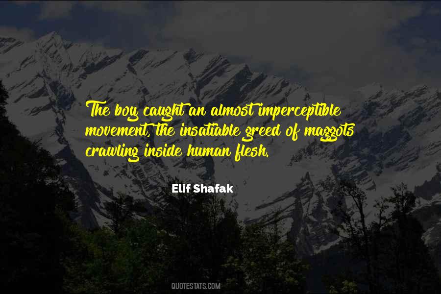 Elif Shafak Quotes #1779447