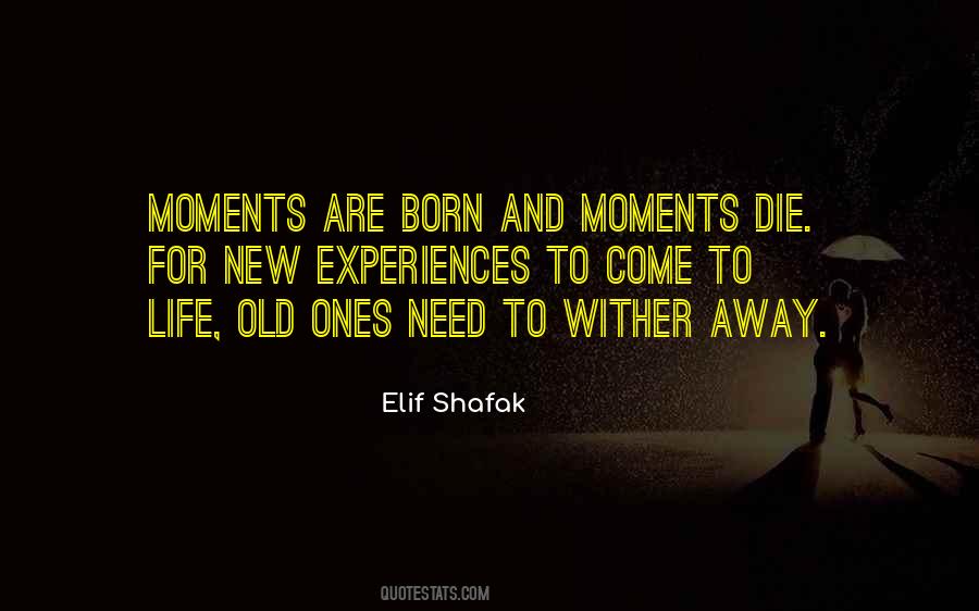 Elif Shafak Quotes #383629
