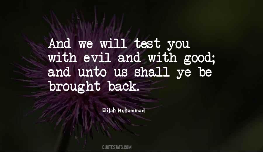 Elijah Muhammad Quotes #510654