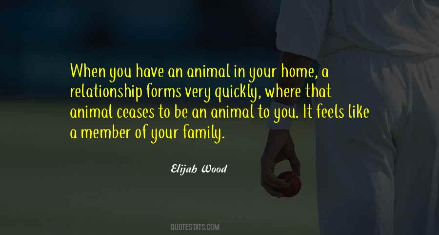 Elijah Wood Quotes #1237294