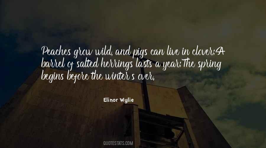 Elinor Wylie Quotes #1608100