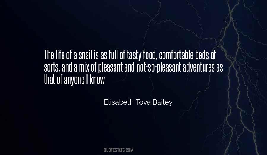 Elisabeth Tova Bailey Quotes #1064617