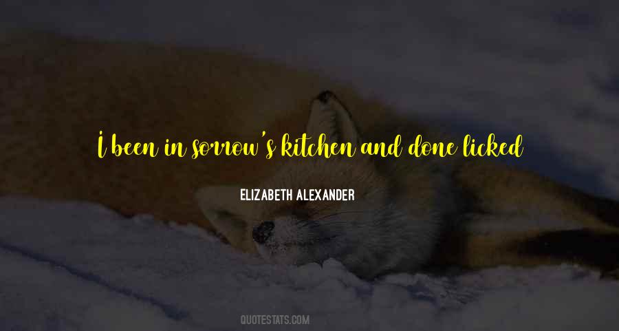 Elizabeth Alexander Quotes #612179