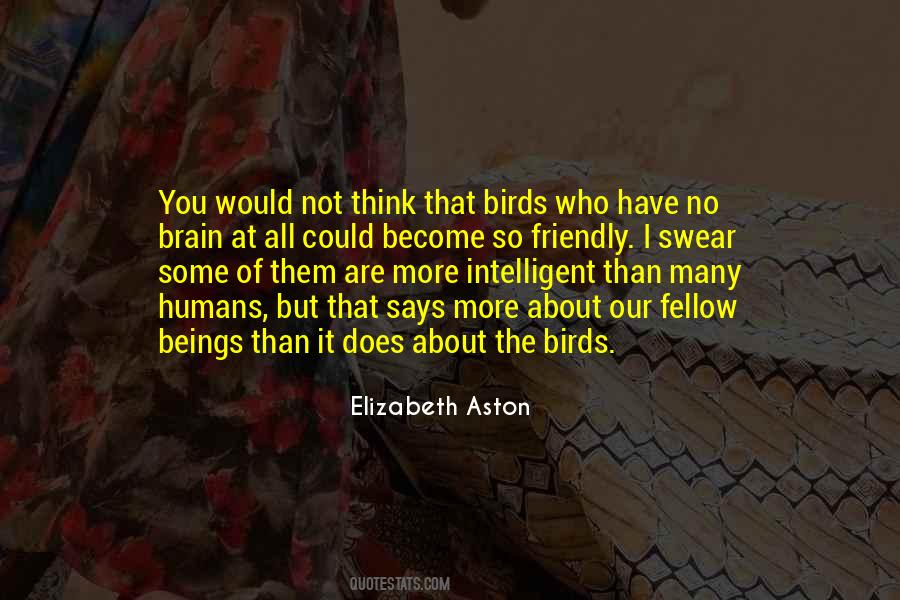 Elizabeth Aston Quotes #1239104