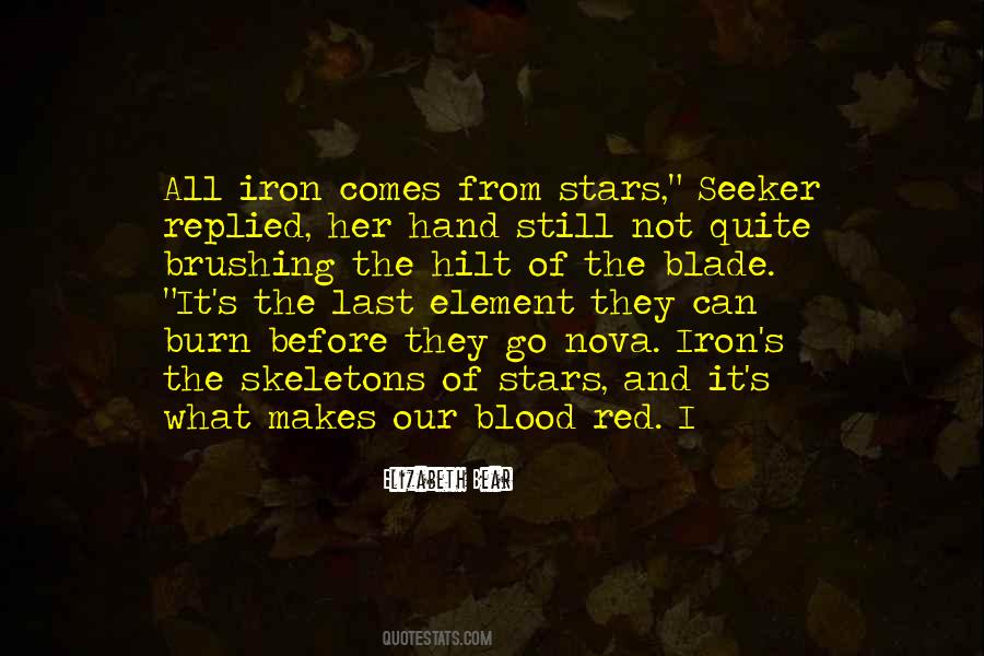 Elizabeth Bear Quotes #1879318