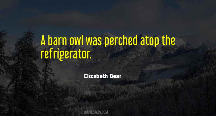 Elizabeth Bear Quotes #505946