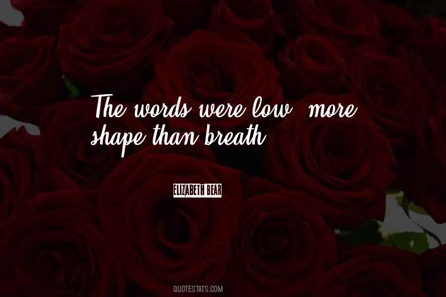 Elizabeth Bear Quotes #523159