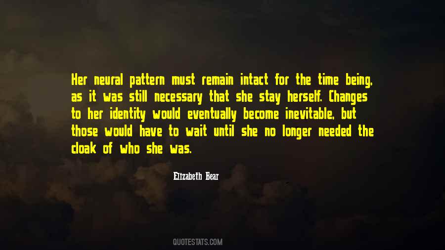 Elizabeth Bear Quotes #544386