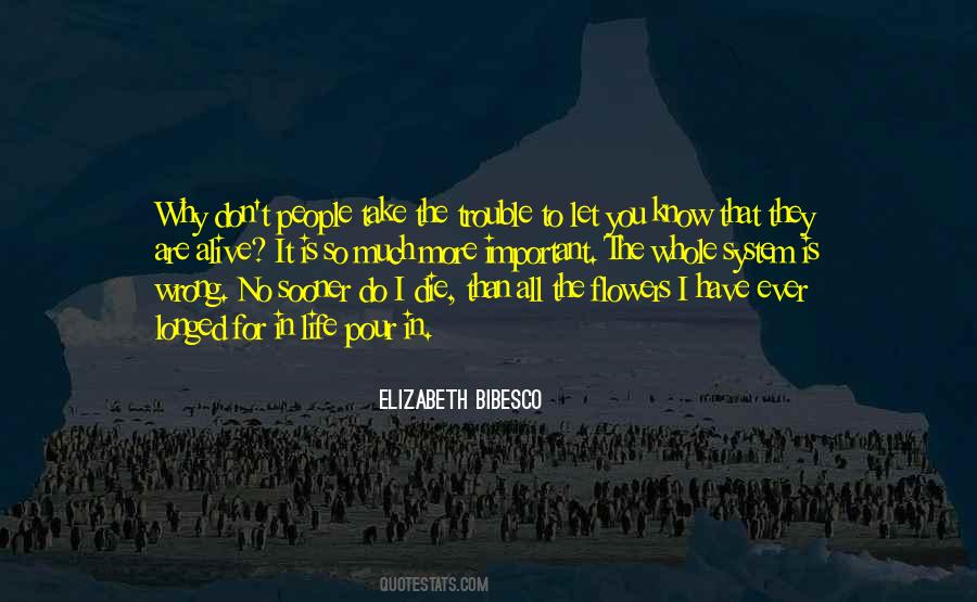 Elizabeth Bibesco Quotes #131719