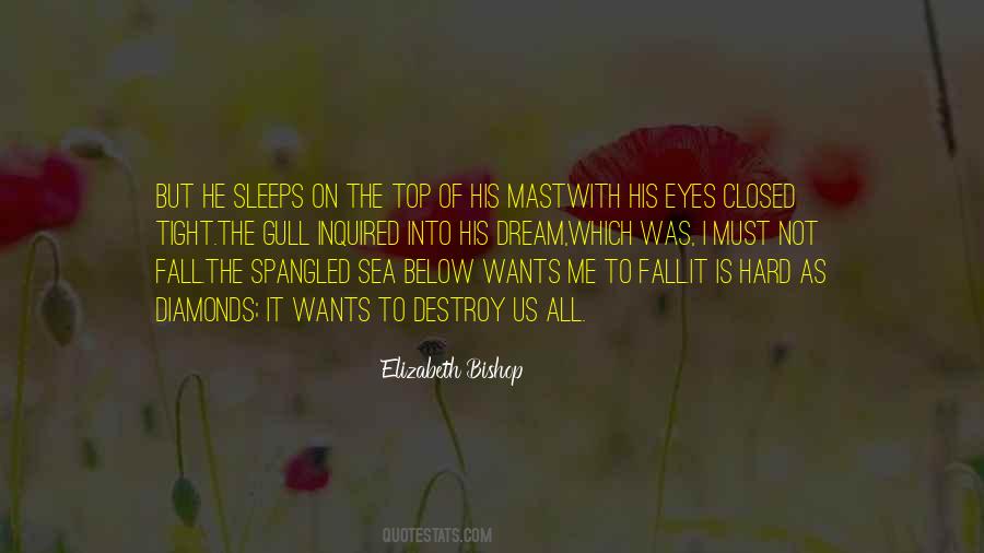 Elizabeth Bishop Quotes #1004966