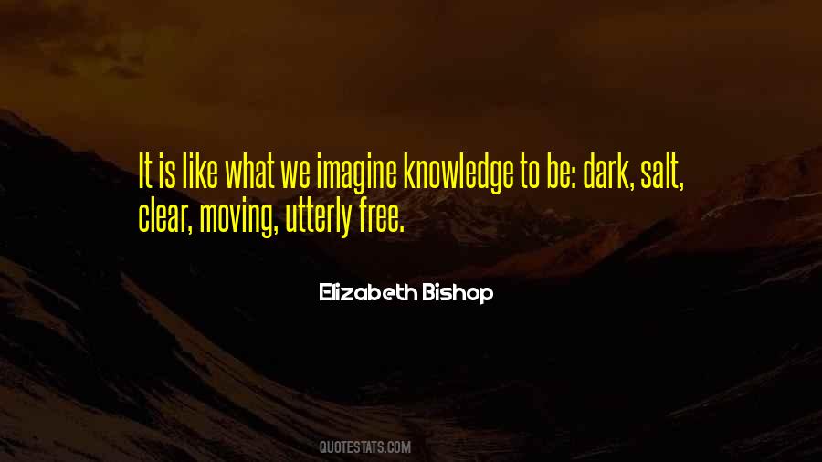 Elizabeth Bishop Quotes #1579466