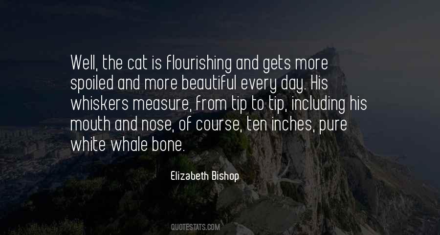 Elizabeth Bishop Quotes #981657