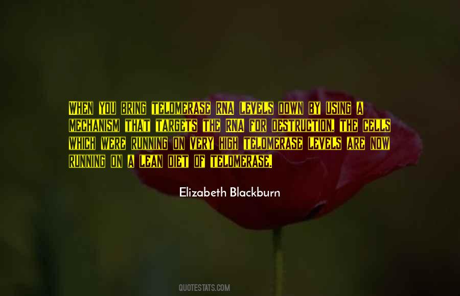 Elizabeth Blackburn Quotes #527613 Elizabeth Blackburn Quotes #527613