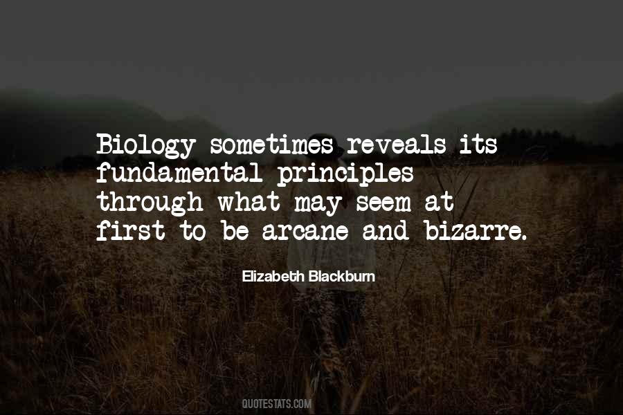 Elizabeth Blackburn Quotes #909058