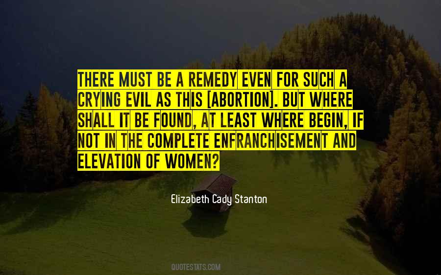 Elizabeth Cady Stanton Quotes #645058