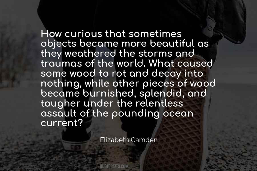 Elizabeth Camden Quotes #240854