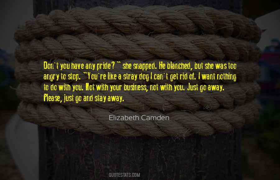 Elizabeth Camden Quotes #483215