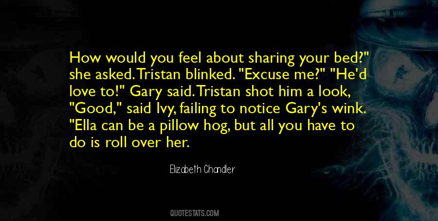 Elizabeth Chandler Quotes #280669