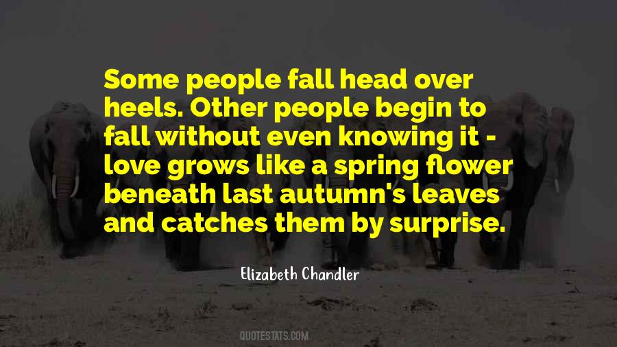 Elizabeth Chandler Quotes #349329