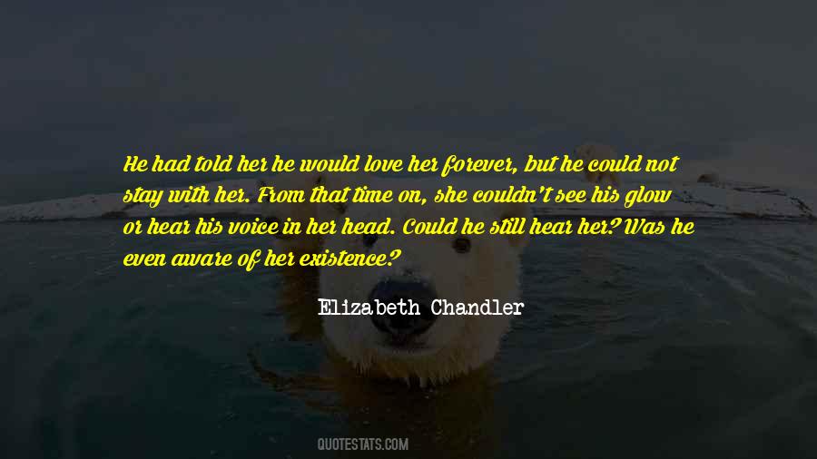 Elizabeth Chandler Quotes #57133