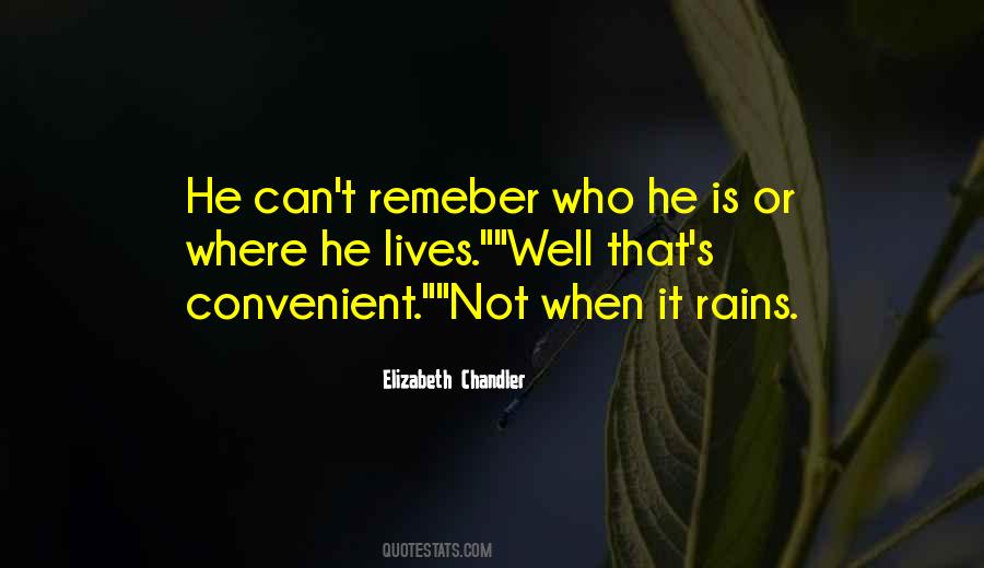 Elizabeth Chandler Quotes #734713