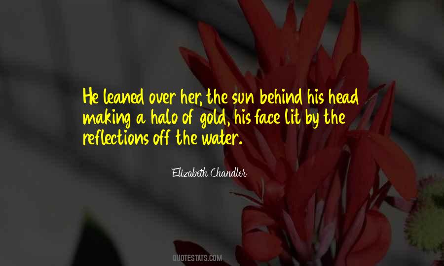 Elizabeth Chandler Quotes #932041