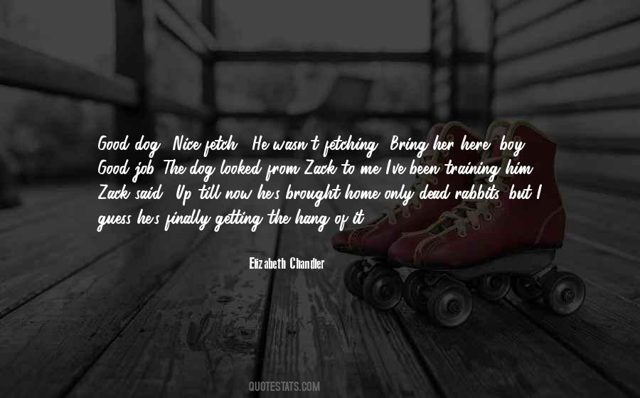 Elizabeth Chandler Quotes #968304