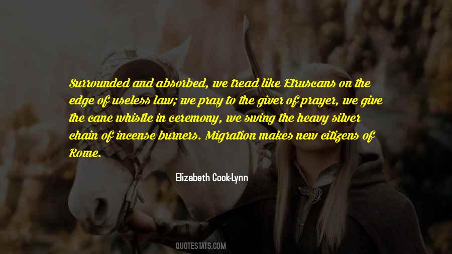 Elizabeth Cook-Lynn Quotes #1502149