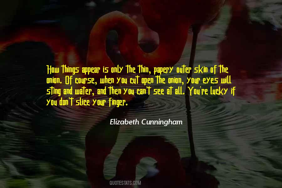 Elizabeth Cunningham Quotes #28634