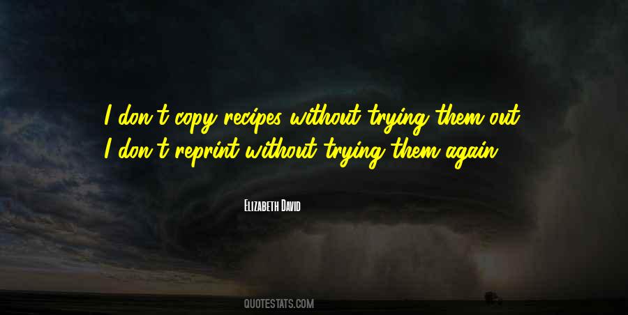 Elizabeth David Quotes #1172355 Elizabeth David Quotes #1172355