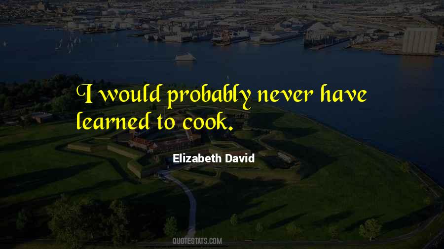 Elizabeth David Quotes #310545